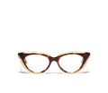 Magda Tortoise