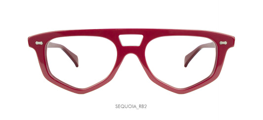 Sequoia
